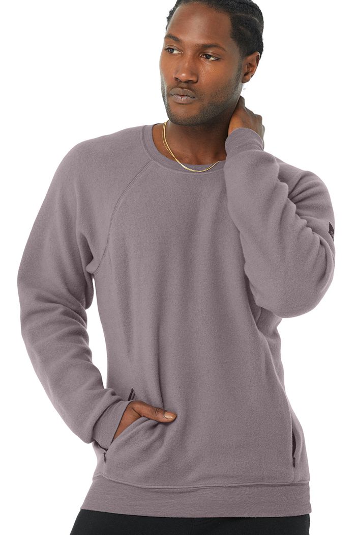 Long Sleeve Alo Yoga Triumph Crew Neck Sweatshirt Hombre Morados | 315860WDG