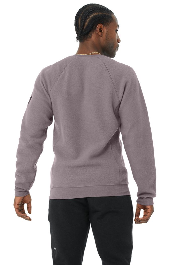 Long Sleeve Alo Yoga Triumph Crew Neck Sweatshirt Hombre Morados | 315860WDG