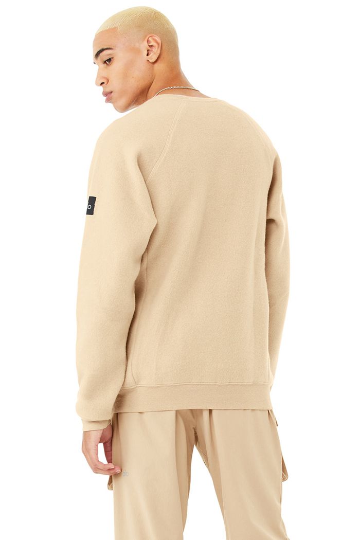 Long Sleeve Alo Yoga Triumph Crew Neck Sweatshirt Hombre Marrom | 510326FBA