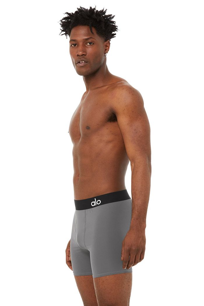 Ropa Interior Alo Yoga Hero Underwear Hombre Grises | 042897EUG