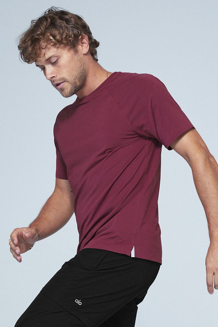 Short Sleeve Alo Yoga Idol Performance Tee Hombre Rojos | 306942LXK