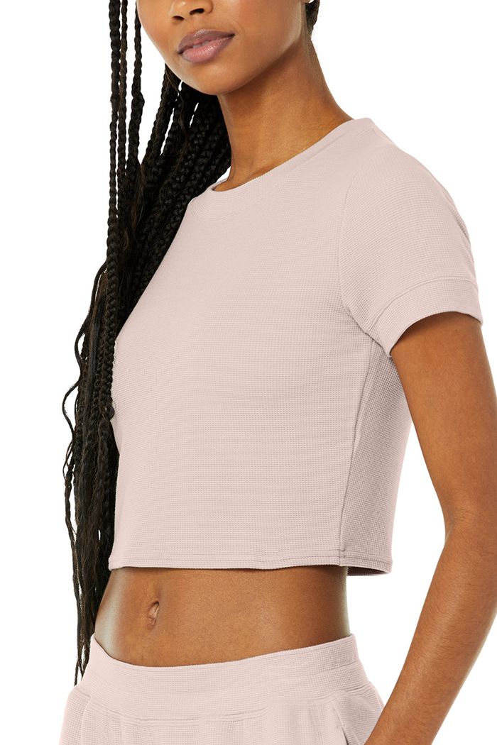 Short Sleeve Alo Yoga Micro Waffle Sierra Mujer Rosas | 316529QME