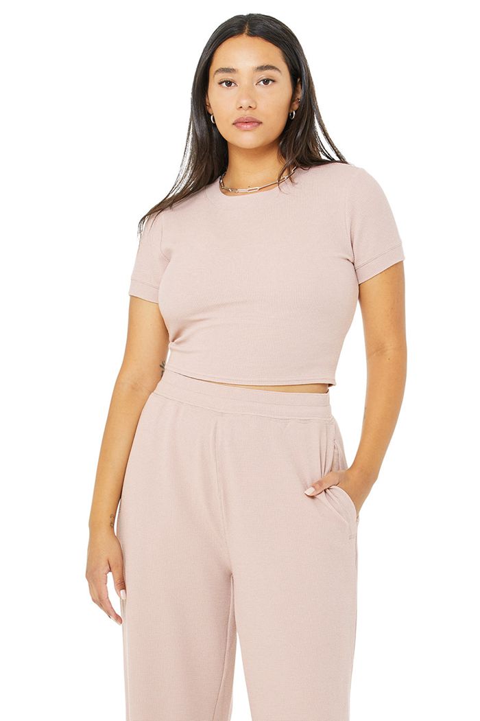 Short Sleeve Alo Yoga Micro Waffle Sierra Mujer Rosas | 316529QME