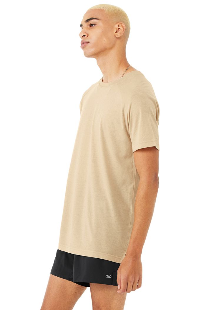 Short Sleeve Alo Yoga The Triumph Crew Neck Tee Hombre Marrom | 120543PXE