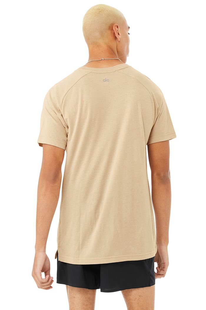 Short Sleeve Alo Yoga The Triumph Crew Neck Tee Hombre Marrom | 120543PXE