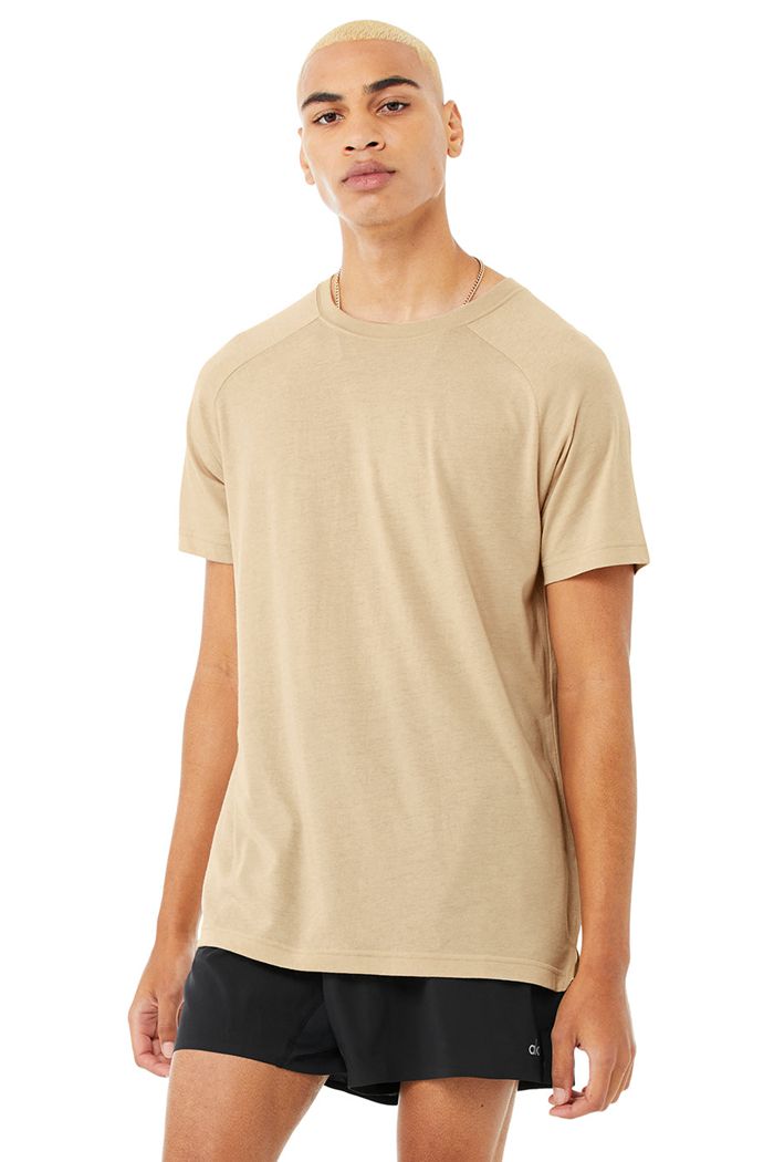 Short Sleeve Alo Yoga The Triumph Crew Neck Tee Hombre Marrom | 120543PXE