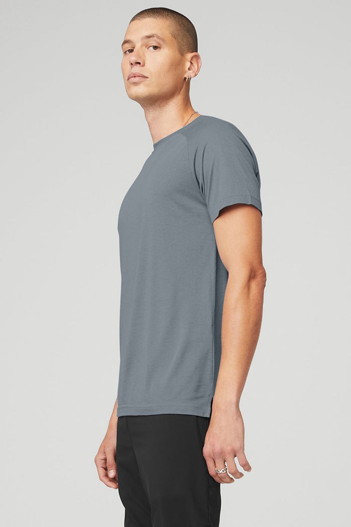 Short Sleeve Alo Yoga The Triumph Crew Neck Tee Hombre Grises | 180793DAU