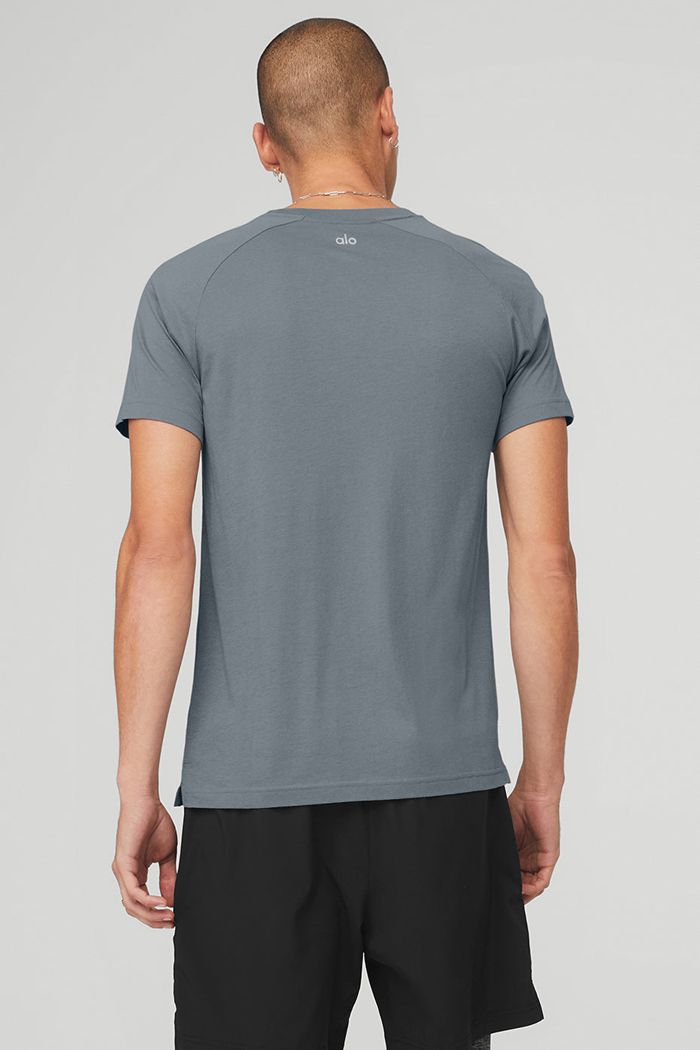 Short Sleeve Alo Yoga The Triumph Crew Neck Tee Hombre Grises | 180793DAU