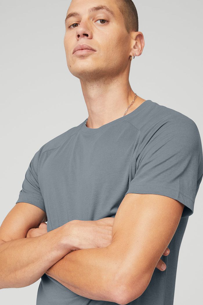Short Sleeve Alo Yoga The Triumph Crew Neck Tee Hombre Grises | 180793DAU