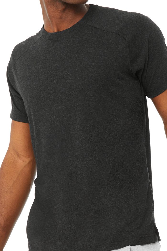Short Sleeve Alo Yoga The Triumph Crew Neck Tee Hombre Negros | 549321ACO