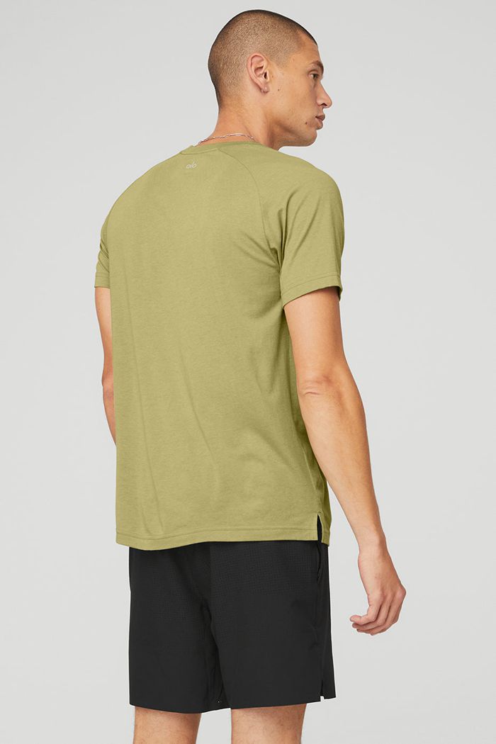 Short Sleeve Alo Yoga The Triumph Crew Neck Tee Hombre Verdes | 920637TXE
