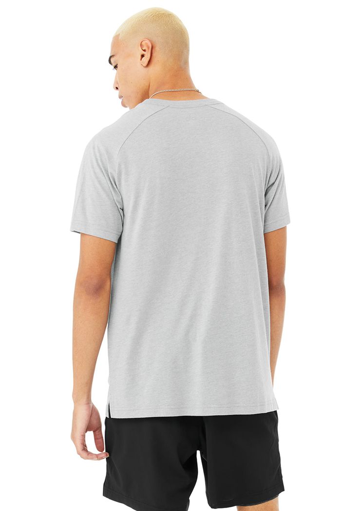 Short Sleeve Alo Yoga The Triumph Crew Neck Tee Hombre Grises | 937402XDB