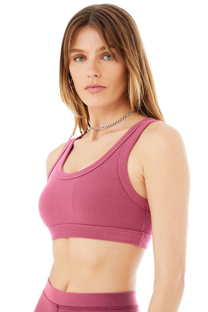 Sujetadores Alo Yoga Wellness Mujer Morados | 421075FWQ