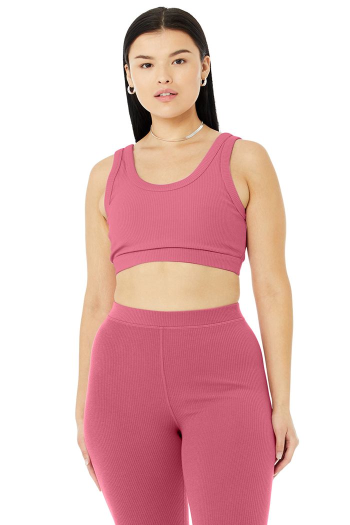 Sujetadores Alo Yoga Wellness Mujer Morados | 421075FWQ