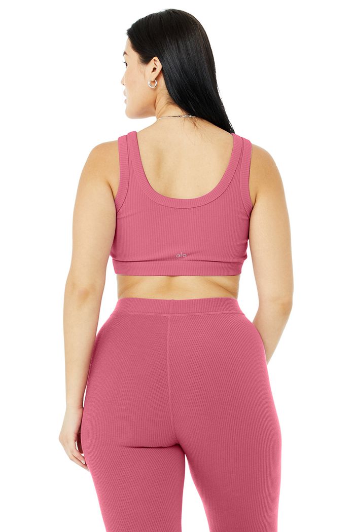 Sujetadores Alo Yoga Wellness Mujer Morados | 421075FWQ