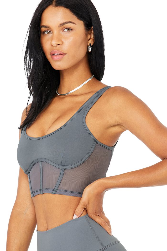 Tank Tops Alo Yoga Airbrush Mesh Corset Mujer Marrom | 209154KCR